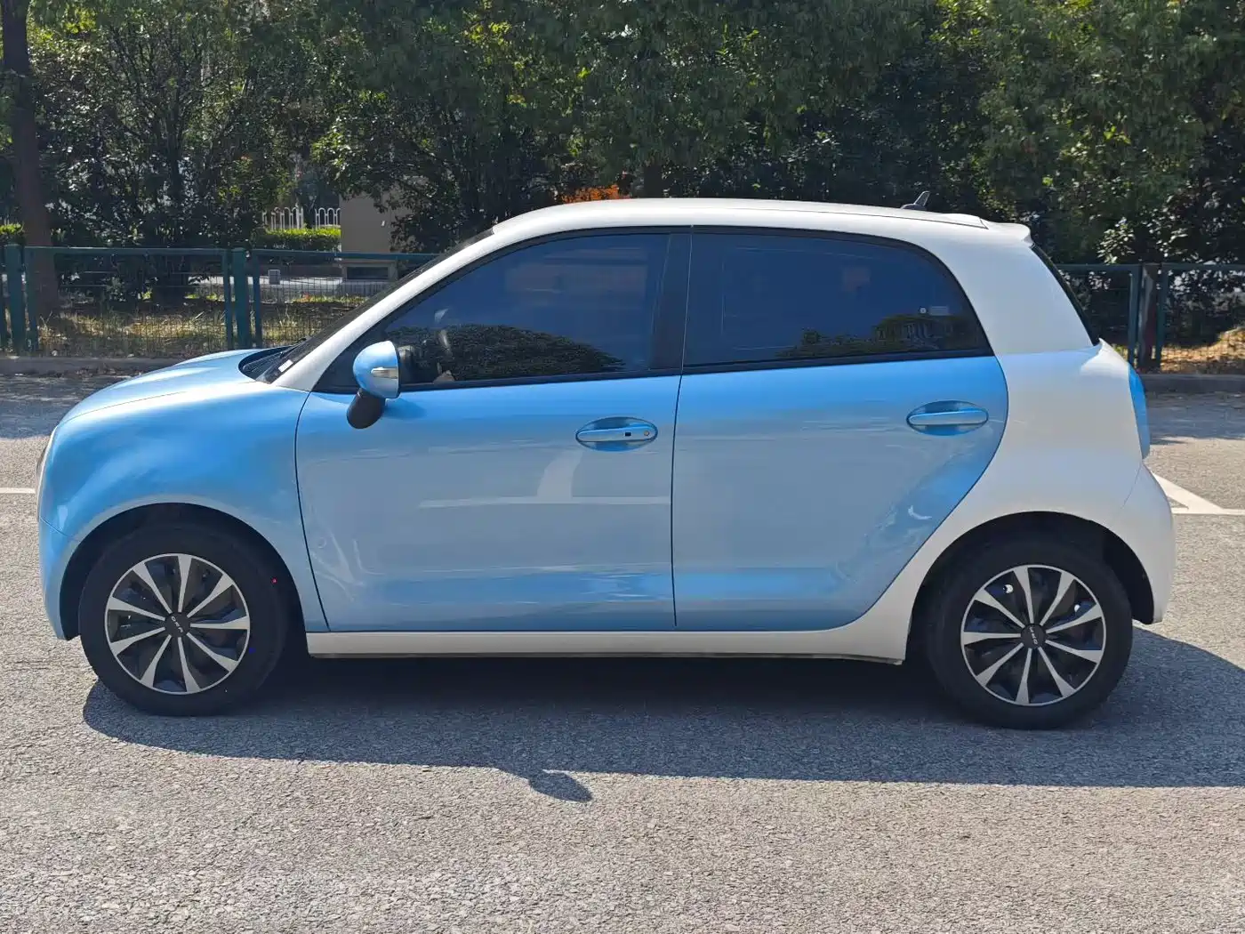 Ora Black Cat 2020 2019 301km Standard
