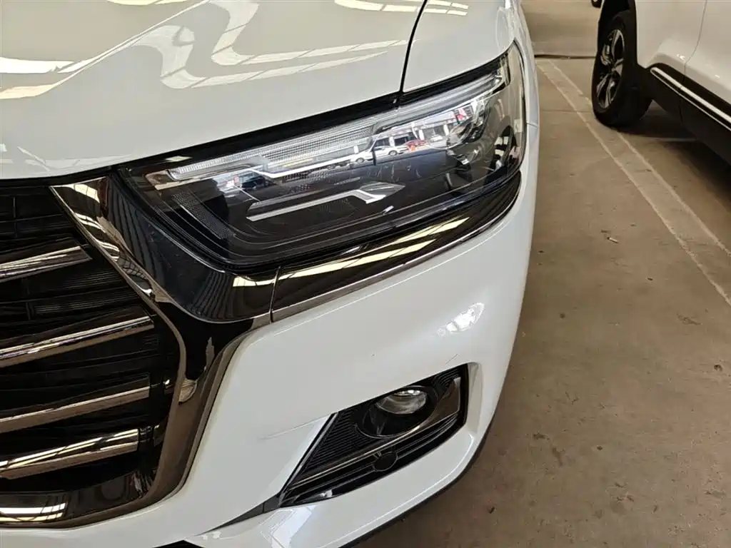 Haval H6 2021 Model National Trend Edition 1.5T Auto Champion фото 24