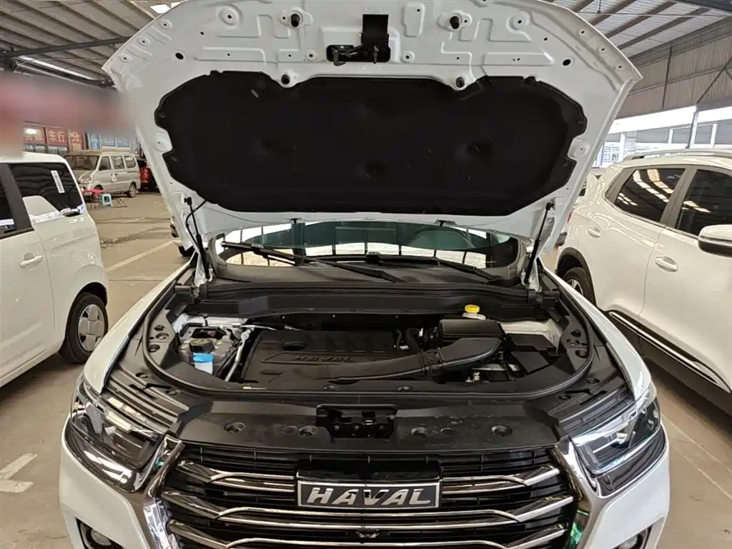 Haval H6 2021 Model National Trend Edition 1.5T Auto Champion фото 20