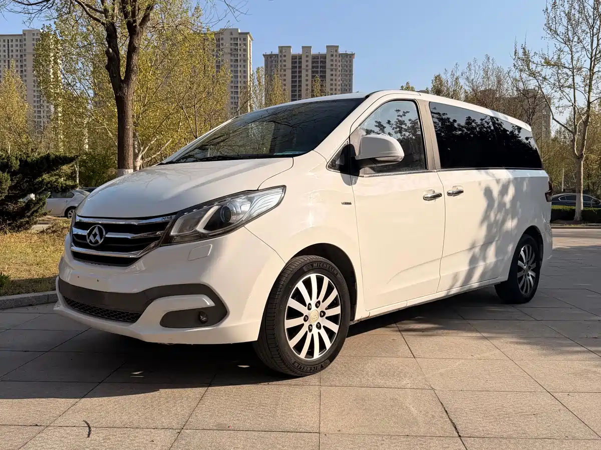 SAIC Maxus Maxus G10 2014 2.0T Automatic Luxury Executive Edition фото 2