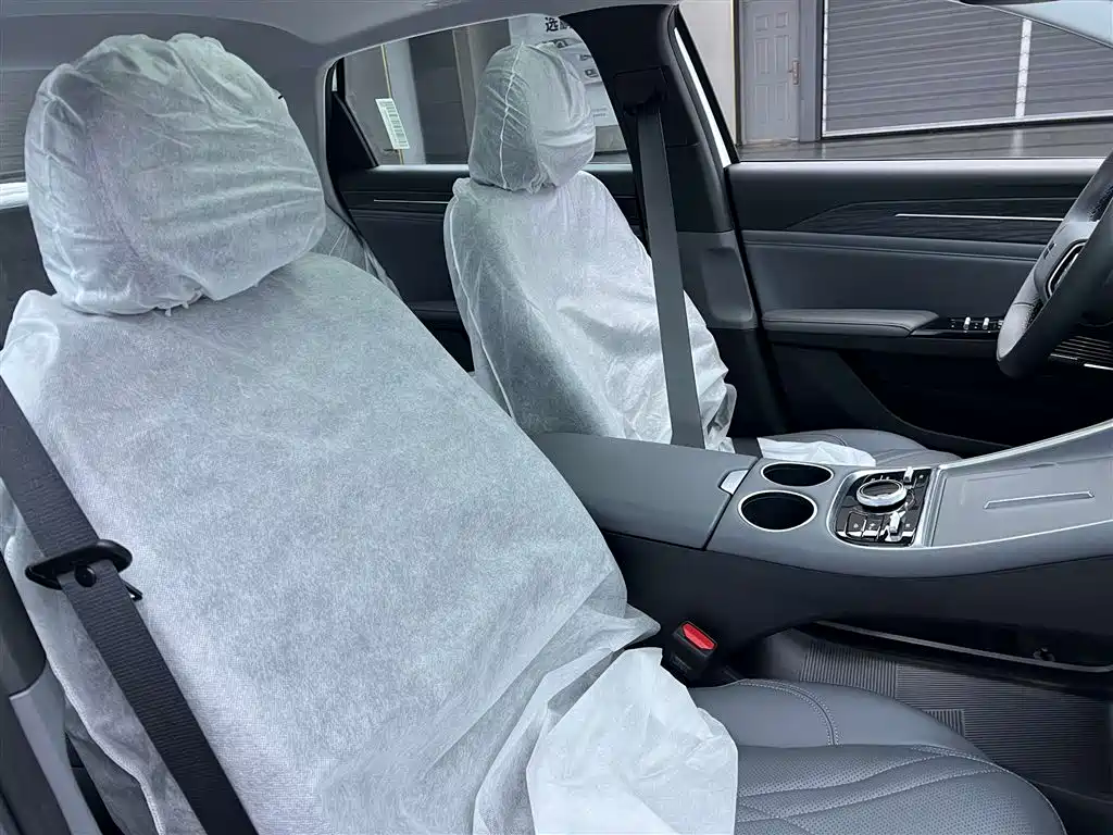 Geely Galaxy Galaxy L6 2025 EM-i 140km Explorer+ Edition фото 27