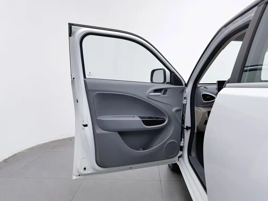 Ora White Cat 2020 2020 360km Luxury Model