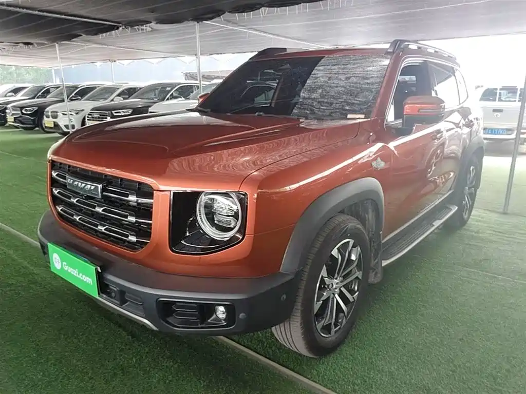 Haval Big Dog 2021 1.5T DCT 2WD Malinois Edition