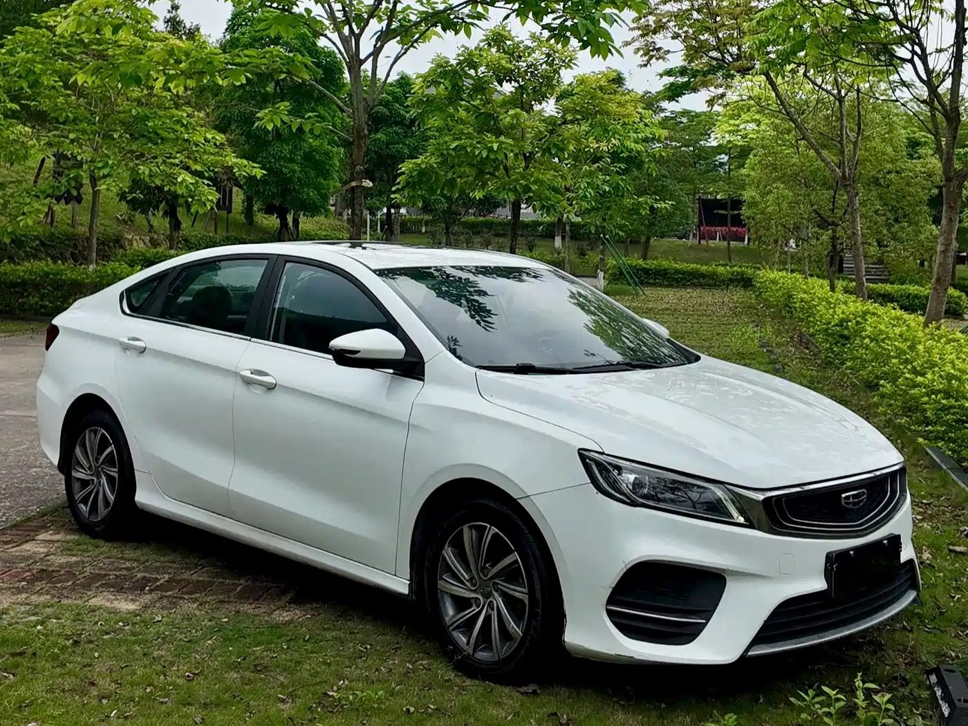 Фото 10 - Geely Binrui