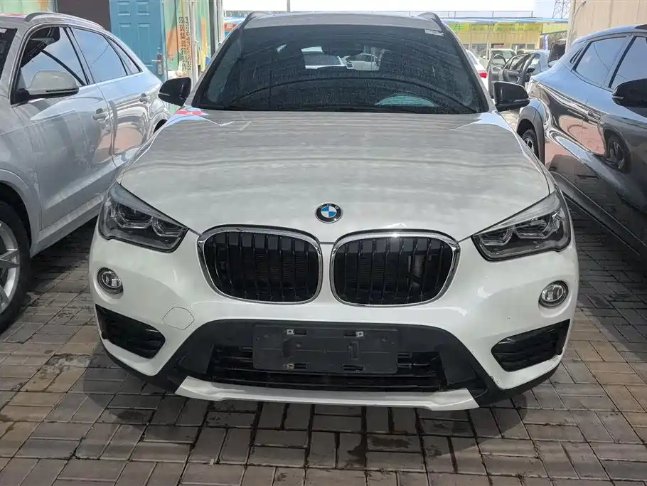 BMW X1 2018 xDrive20Li Luxury Model фото 2