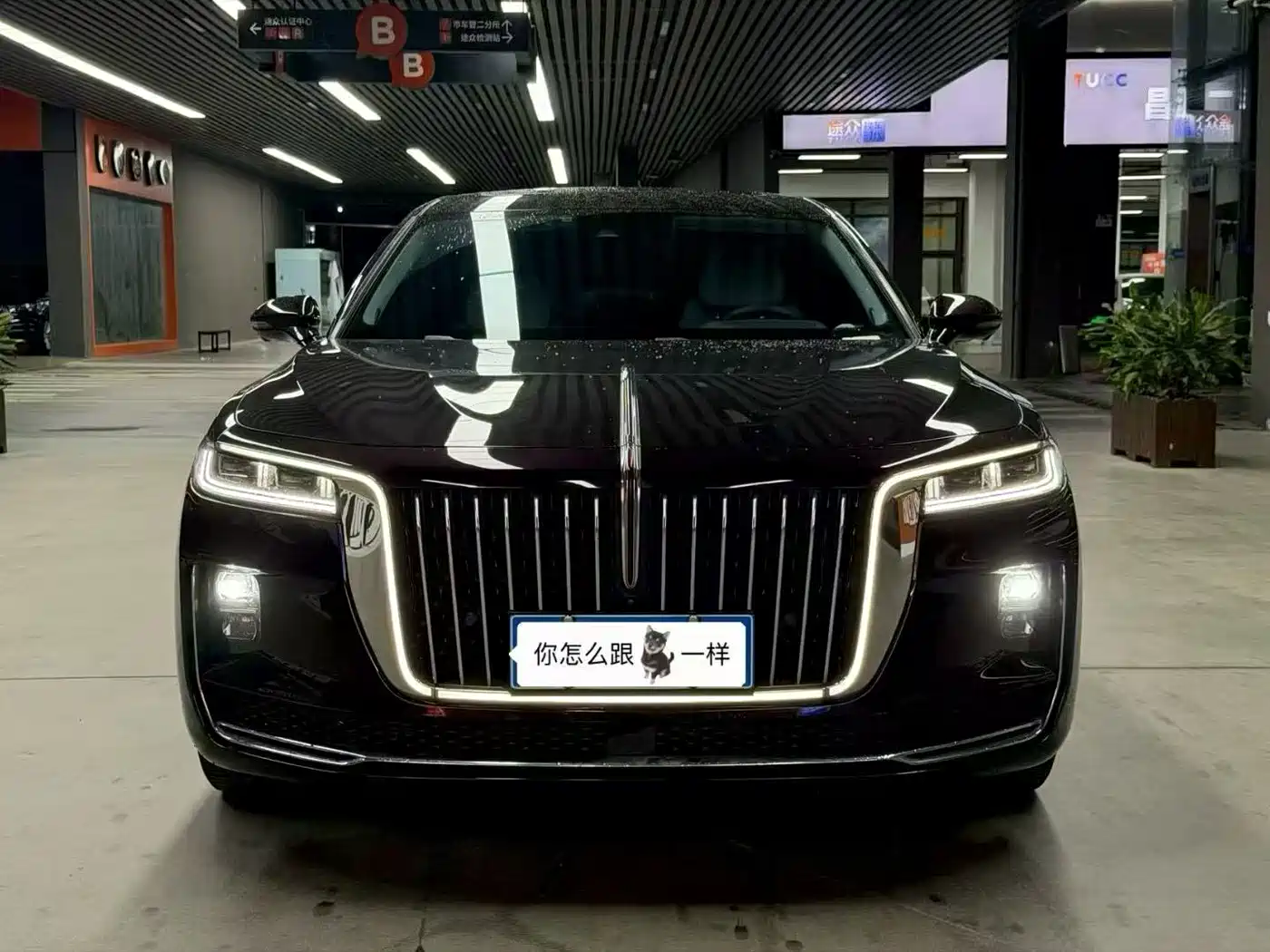 Hongqi H9 2022 2.0T Smart Connect Flag Smooth Edition фото 2