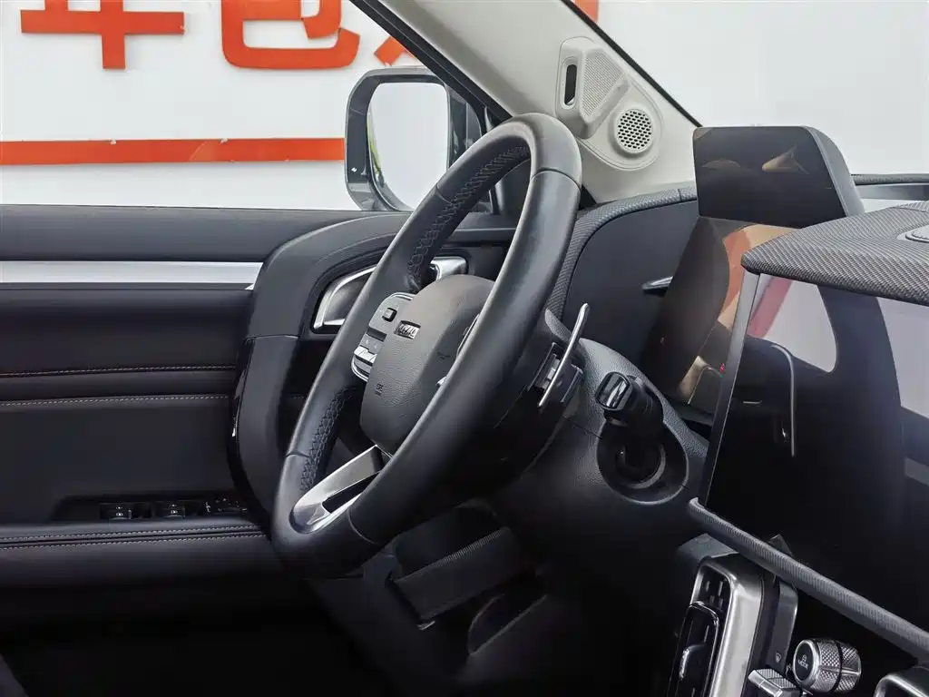 Haval Big Dog 2022 2.0T DCT 4WD Chinese Rural Dog Hunting Edition фото 22