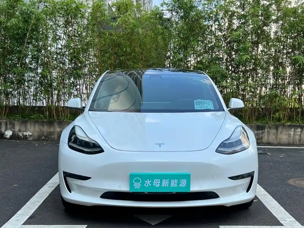 Tesla Model 3 (Import) 2020 2019 Long Range RWD Version