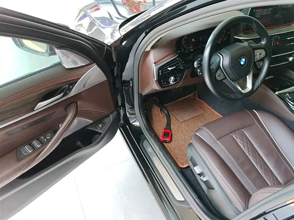 BMW 5 Series 2020 530Li Leading Luxury Package фото 16