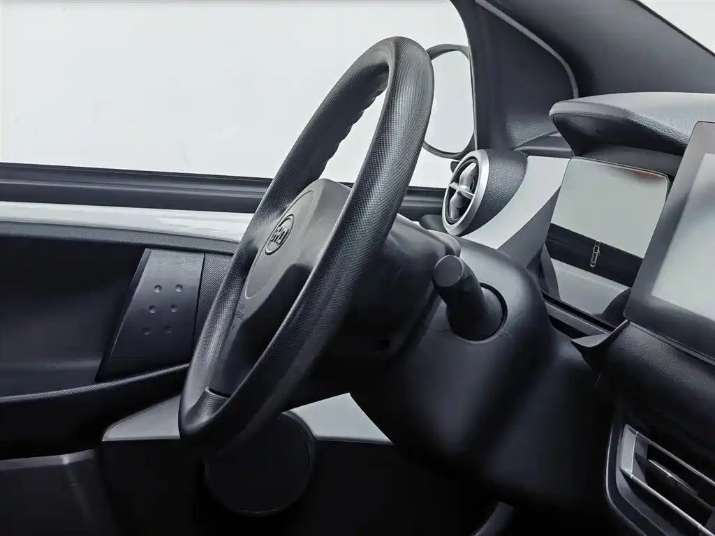 BYD e1 2020 Smart Comfort фото 22