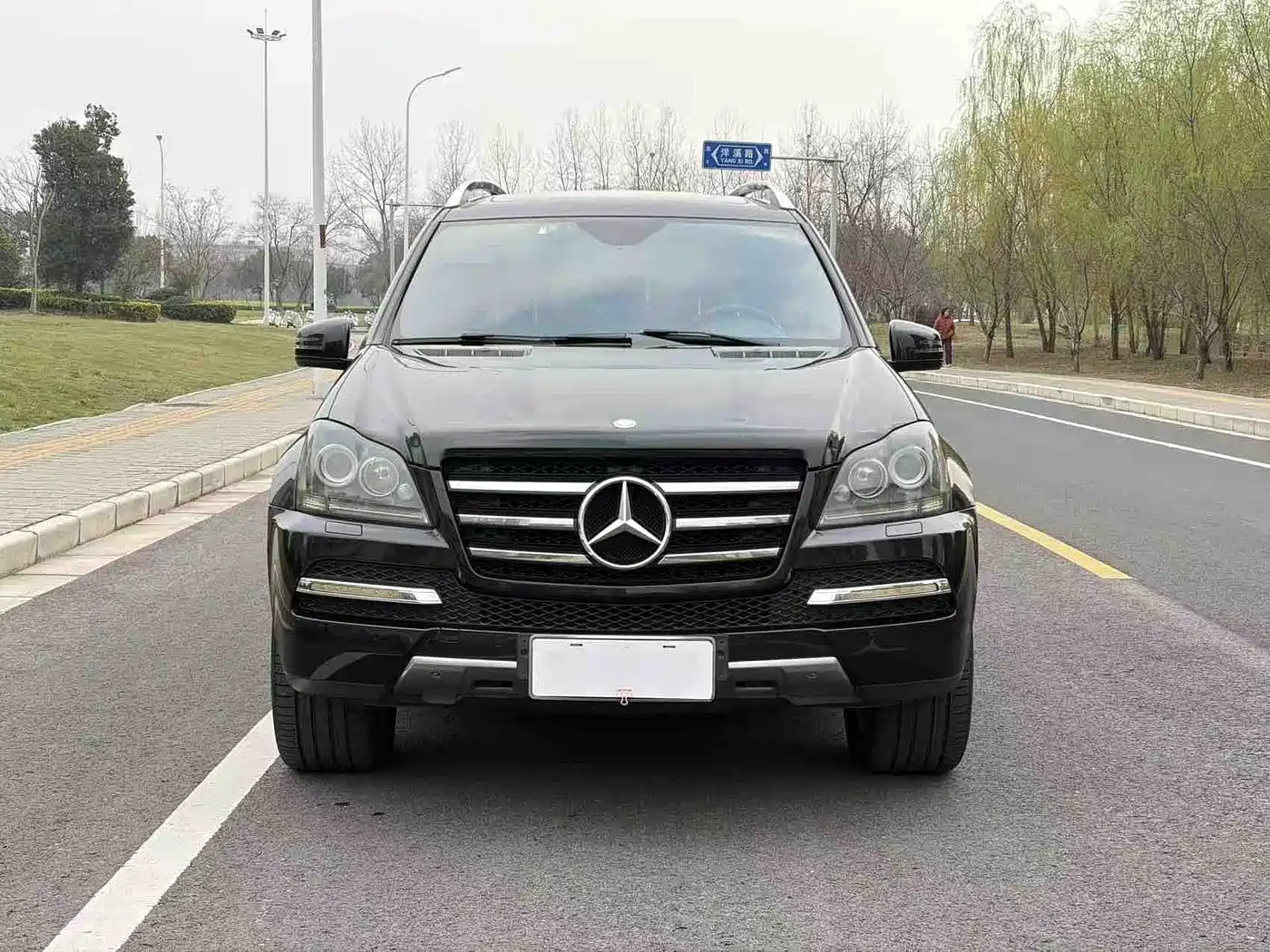 Mercedes-Benz GL-Class 2011 GL 450 Prestige Grand Edition фото 3