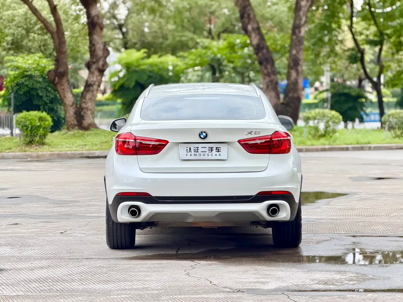 BMW X6 2015 xDrive35i Luxury Model фото 6