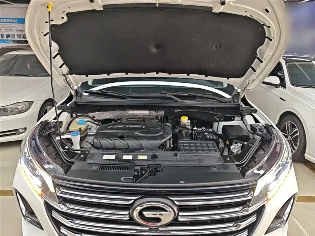 GAC Trumpchi Trumpchi GS4 2021 270T Auto Smart Connect Tech фото 20