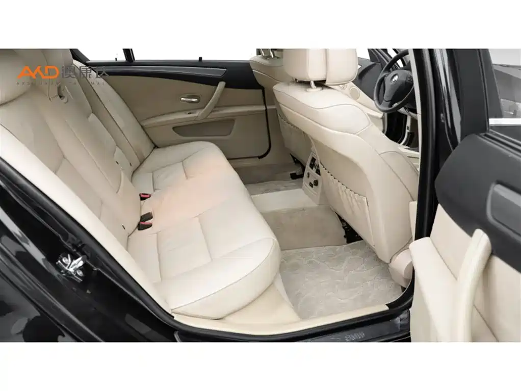 BMW 5 Series 2009 520Li Premium фото 8
