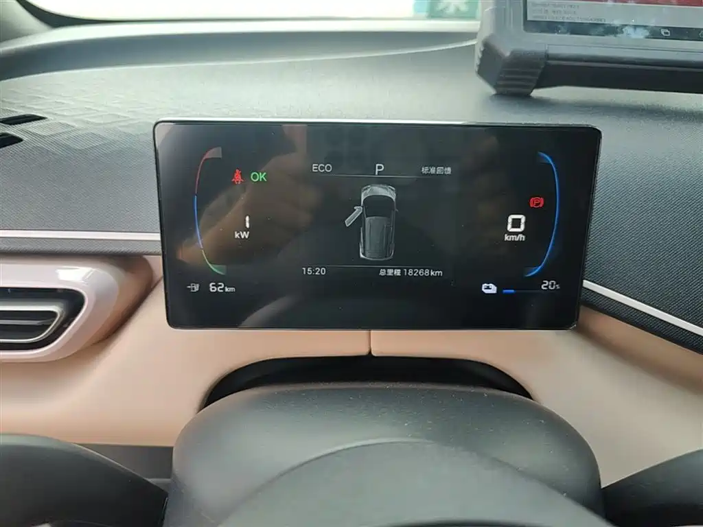 BYD Seagull 2025 Smart Drive Edition 305km Vitality Version фото 12