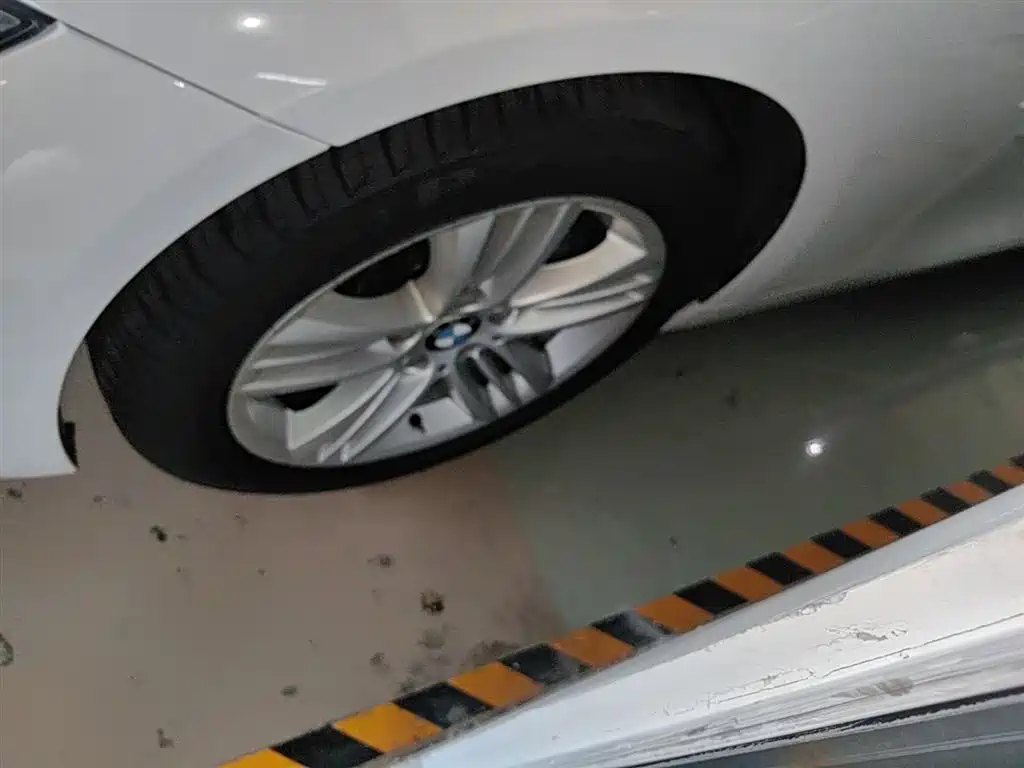 BMW 3 Series 2018 318Li фото 23