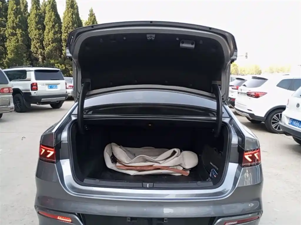 BYD Qin PLUS 2024 Glory Edition DM-i 55KM Leading фото 19