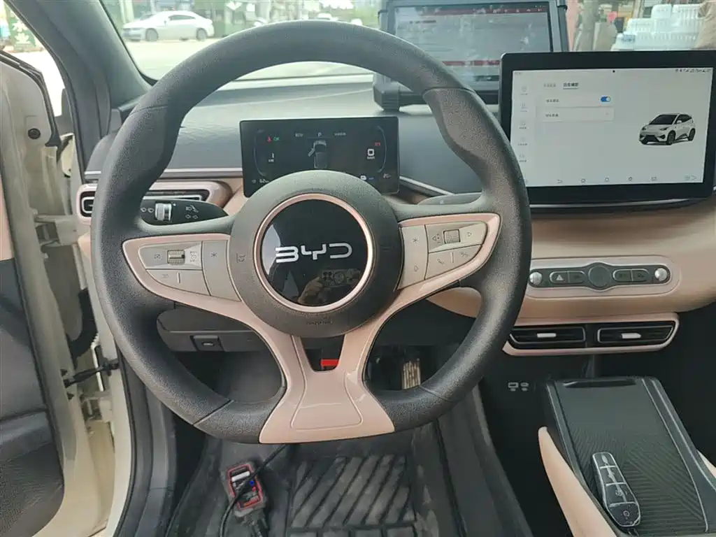 BYD Seagull 2025 Smart Drive Edition 305km Vitality Version фото 11