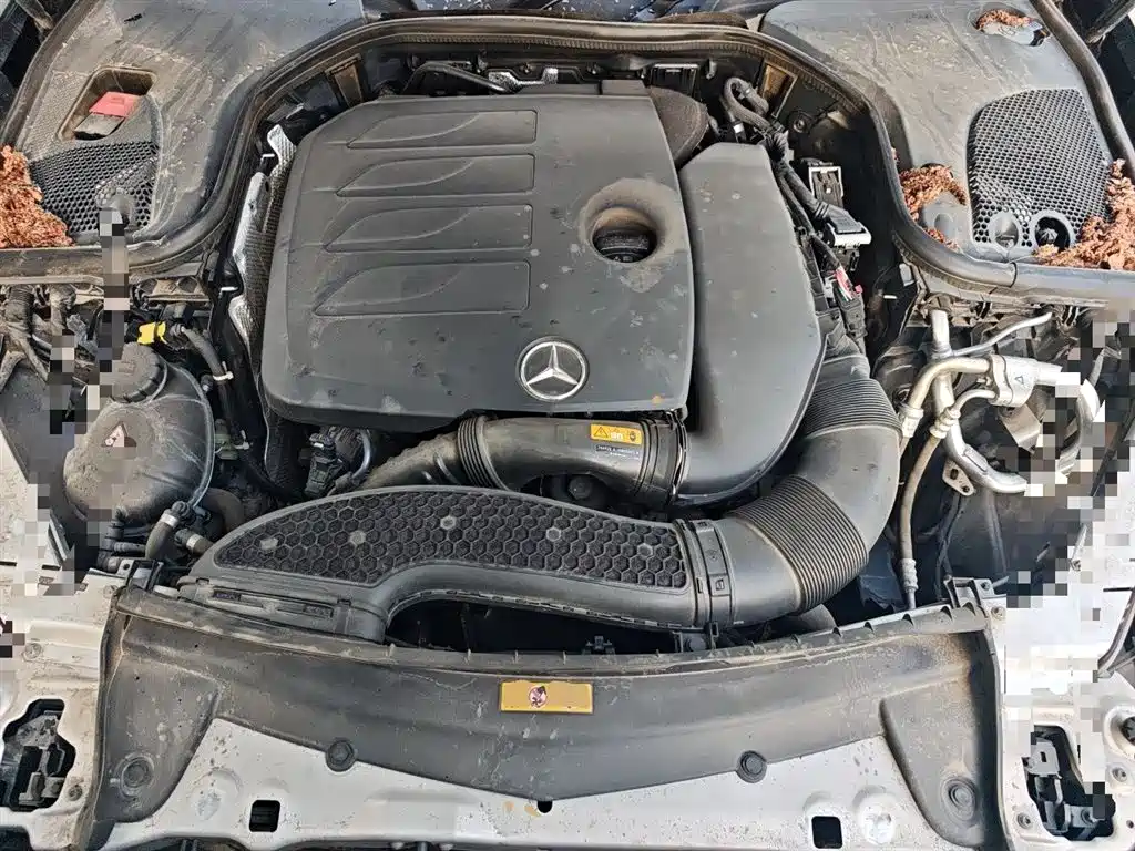 Mercedes-Benz E-Class 2021 E 300 L Luxury фото 11