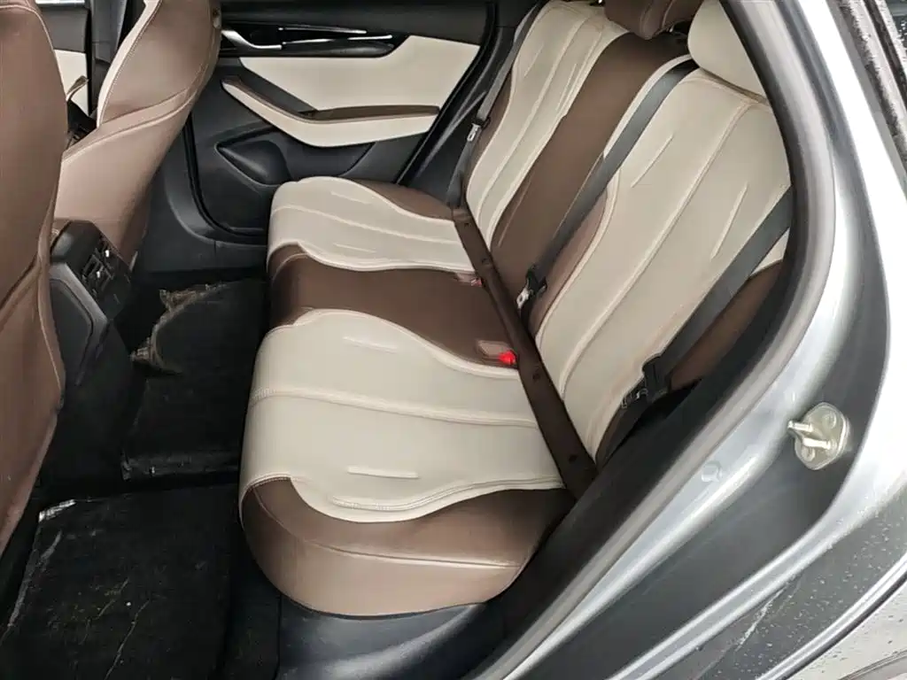 BYD Qin PLUS 2024 Glory Edition DM-i 55KM Leading фото 24