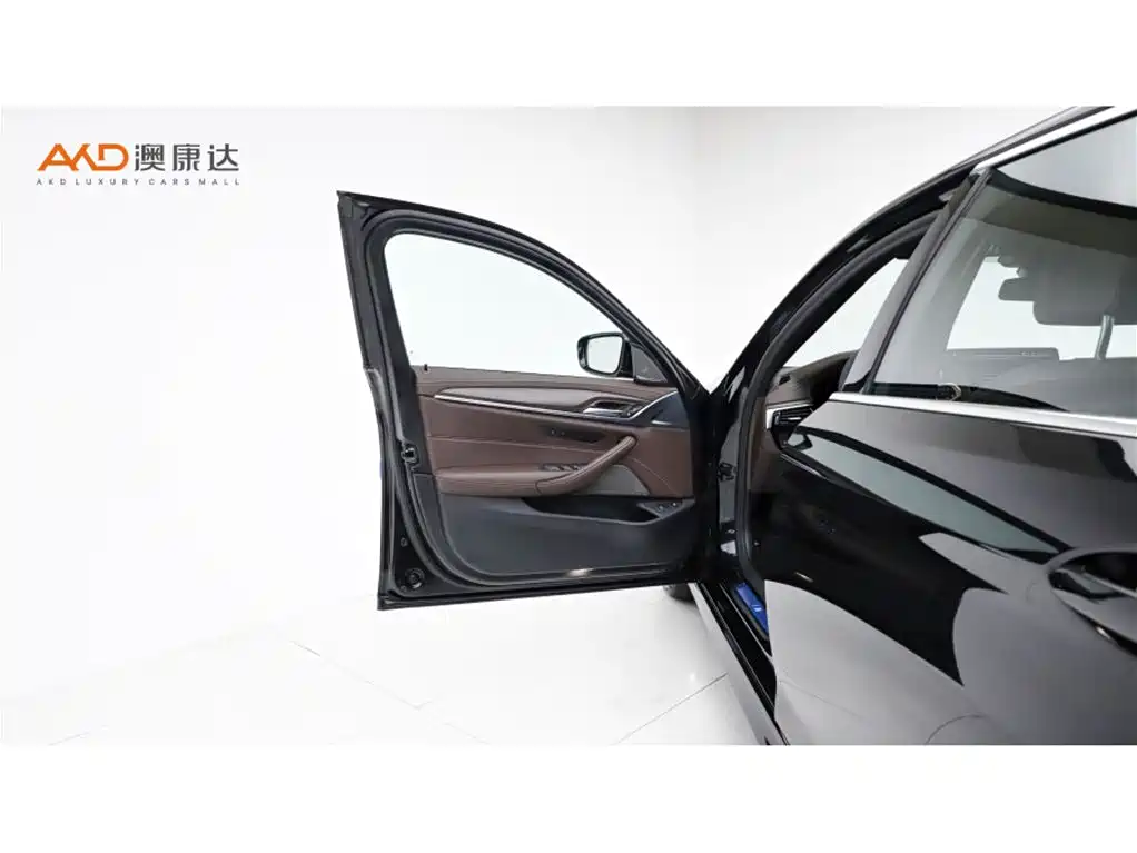 BMW 5 SERIES NEW ENERGY
