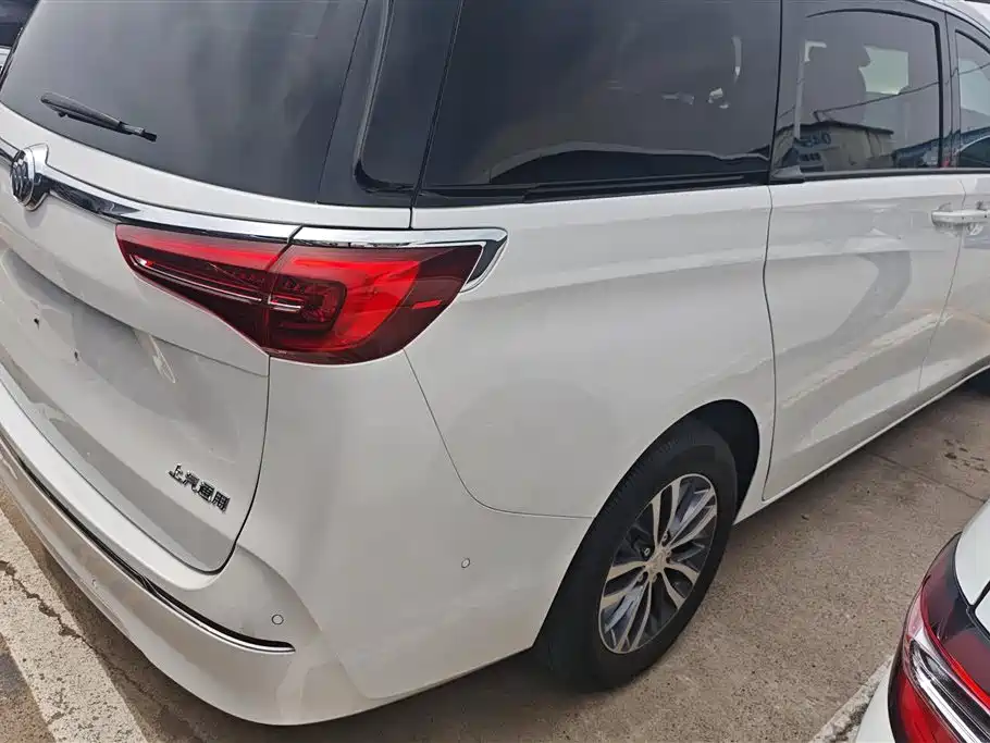 Buick GL8 2021 ES Landlord 653T Premium фото 3