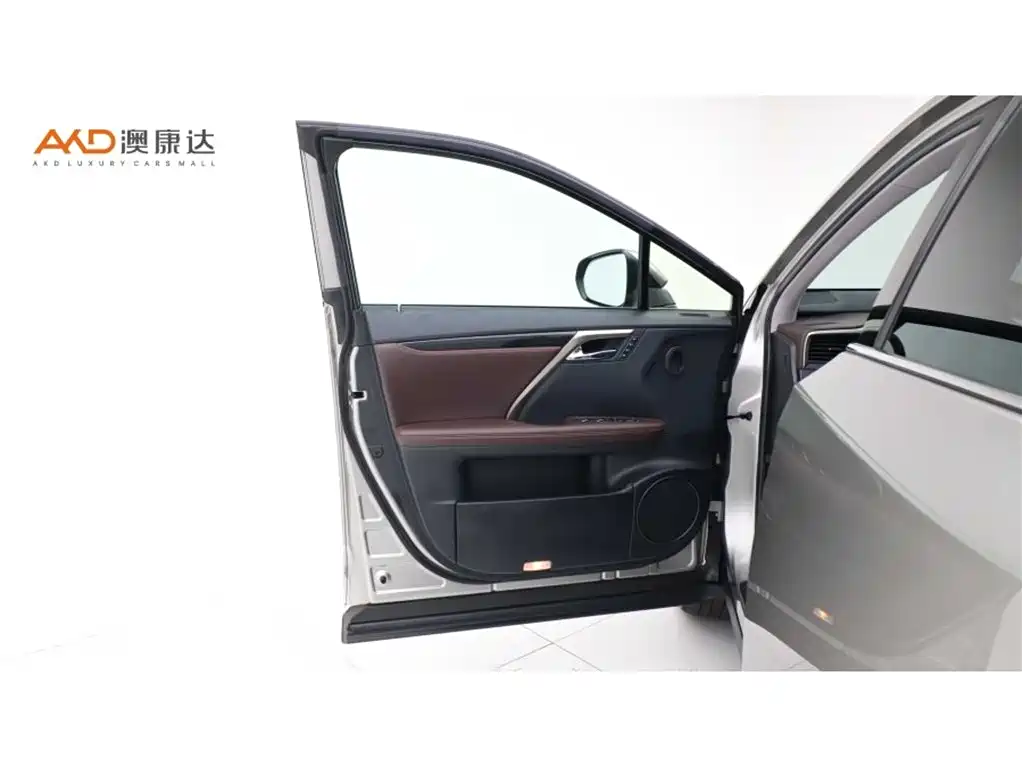 Lexus RX 2020 300 4WD Elegance Edition China VI фото 10