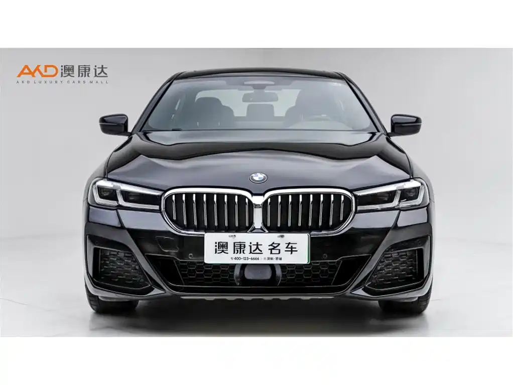 BMW 5 SERIES NEW ENERGY