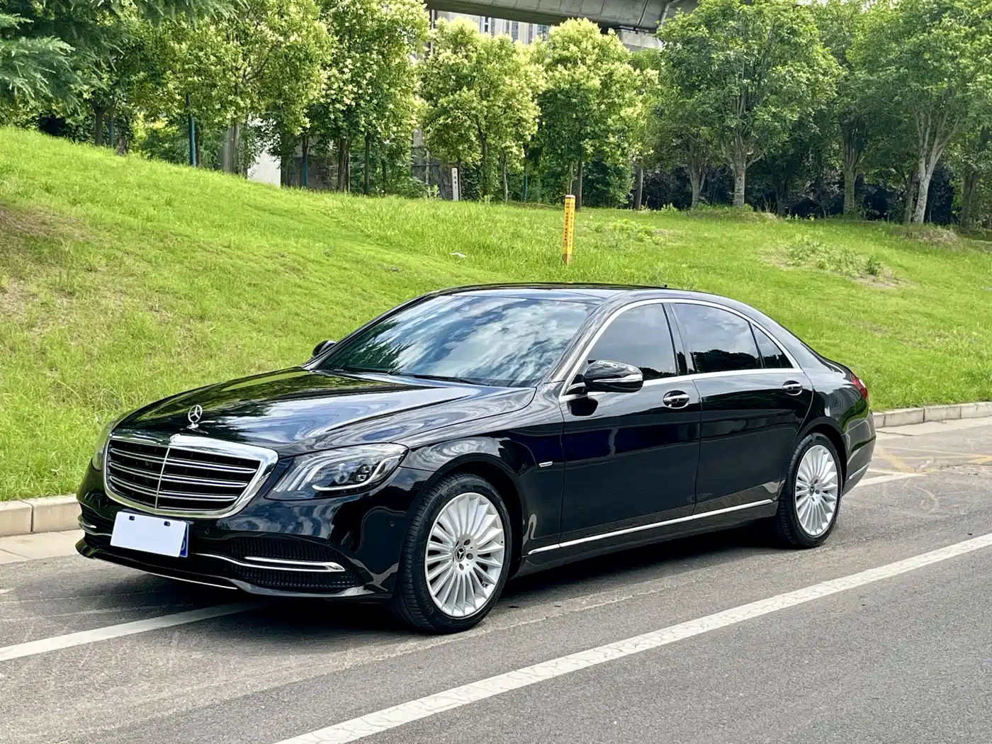 Mercedes-Benz S-Class 2020 S 350 L Business Edition Collector's Version
