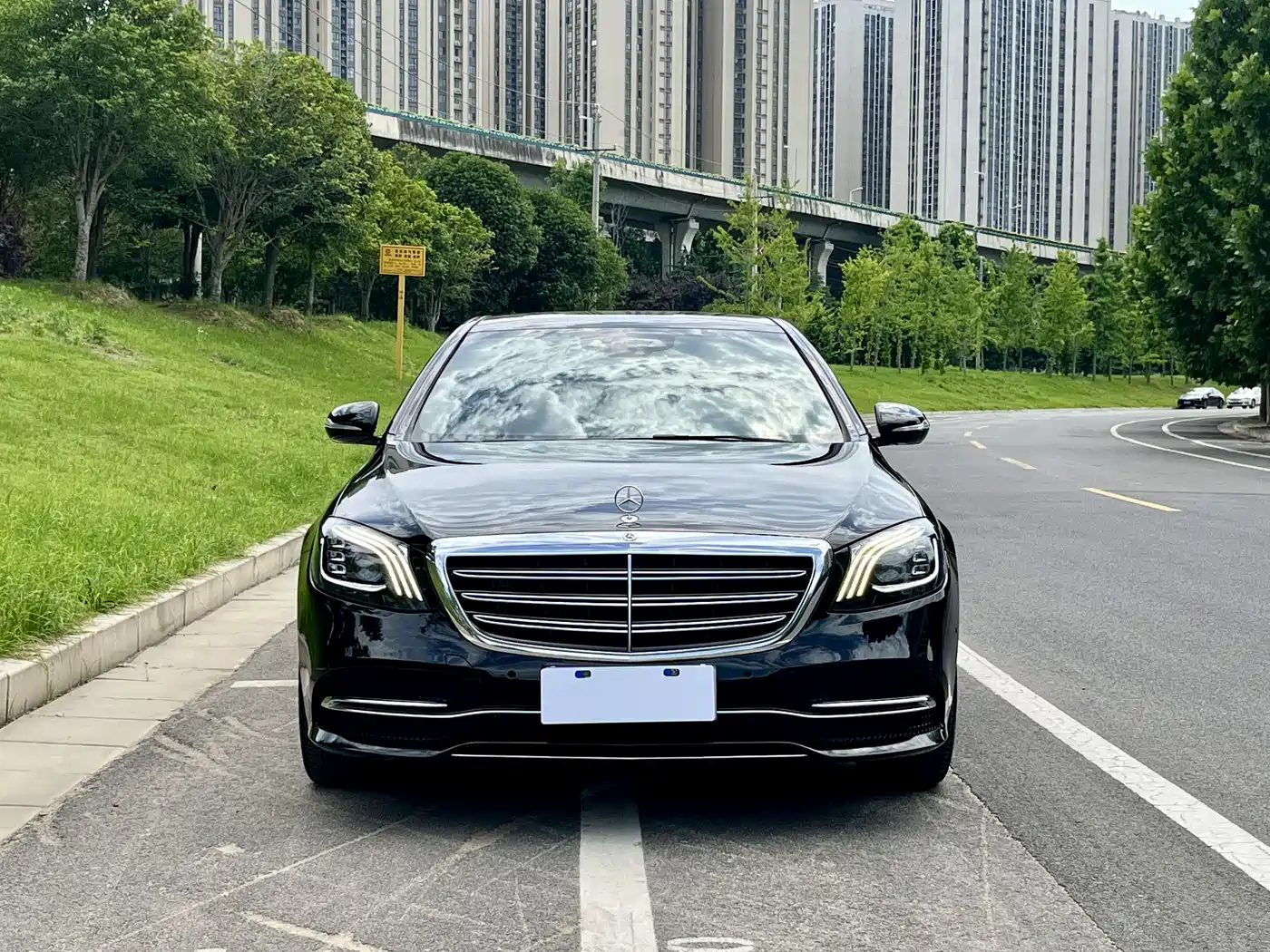 Mercedes-Benz S-Class 2020 S 350 L Business Edition Collector's Version фото 2