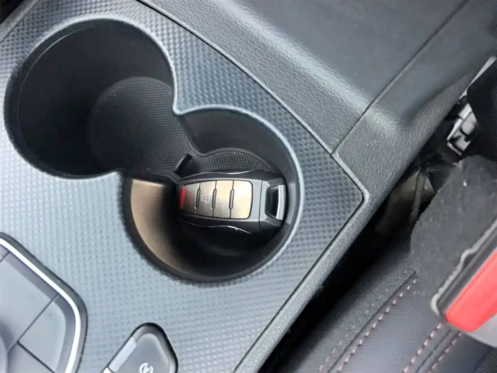 Haval H6 Coupe 2019 1.5T Auto 2WD Luxury Smart Edition China VI фото 9