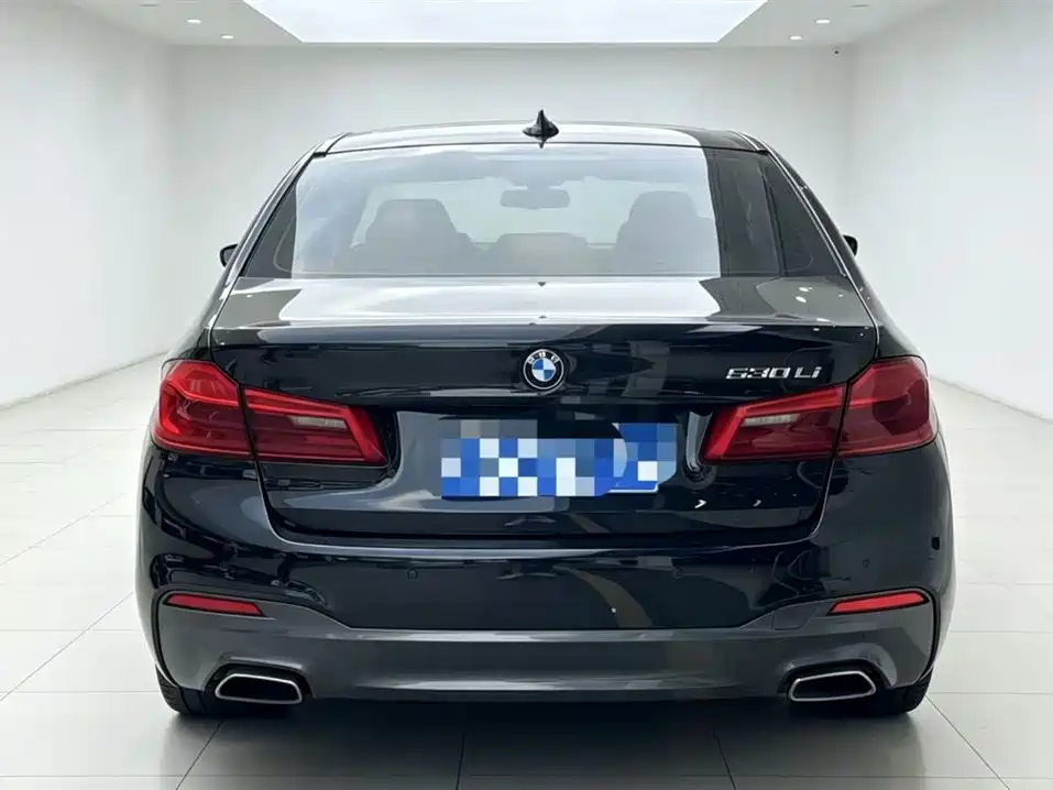 BMW 5 Series 2019 530Li Leading M Sport Package фото 7