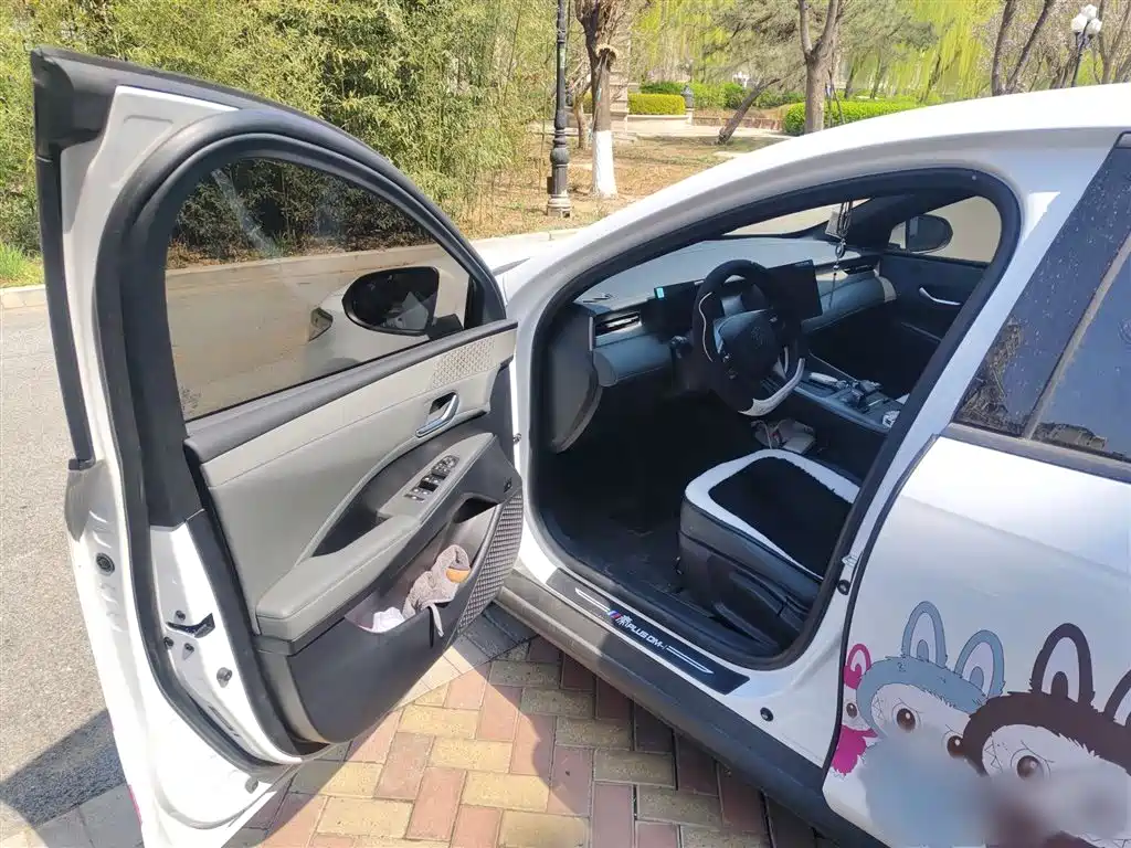 BYD Qin PLUS 2025 DM-i Smart Drive 55KM Leader фото 14