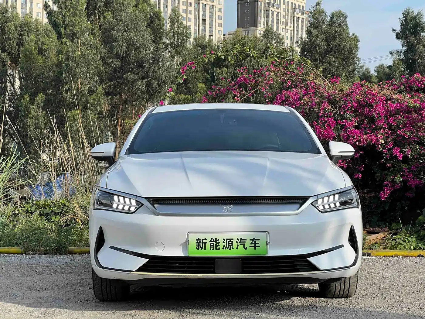 BYD Qin PLUS 2021 EV 500KM Luxury Model фото 2