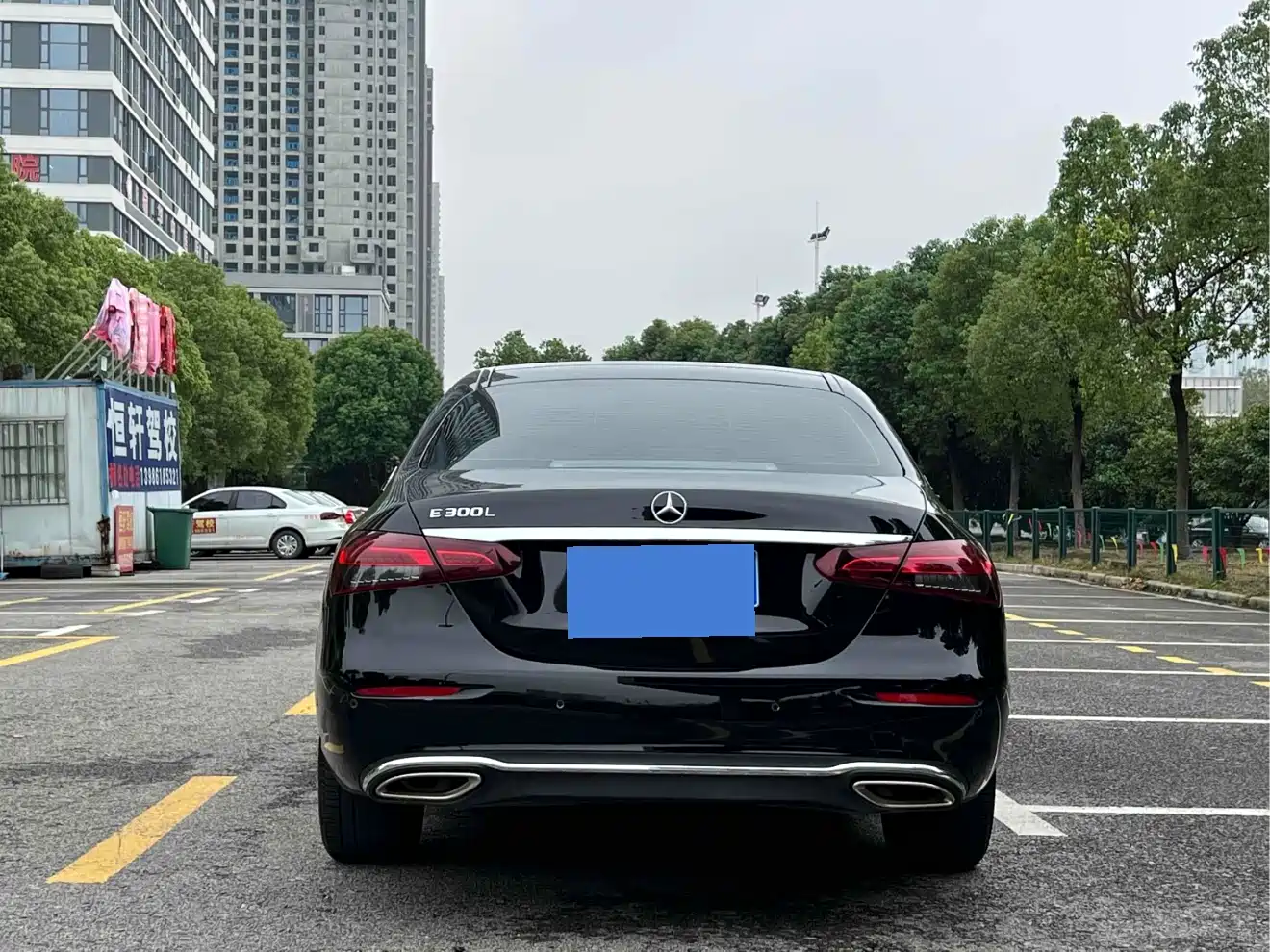 Mercedes-Benz E-Class 2023 E 300 L Luxury фото 6