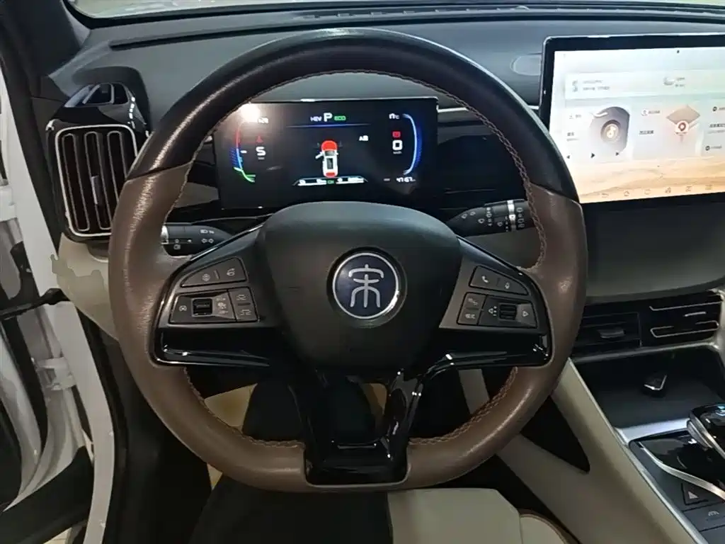 BYD Song Pro New Energy 2022 DM-i 51km Premium фото 11