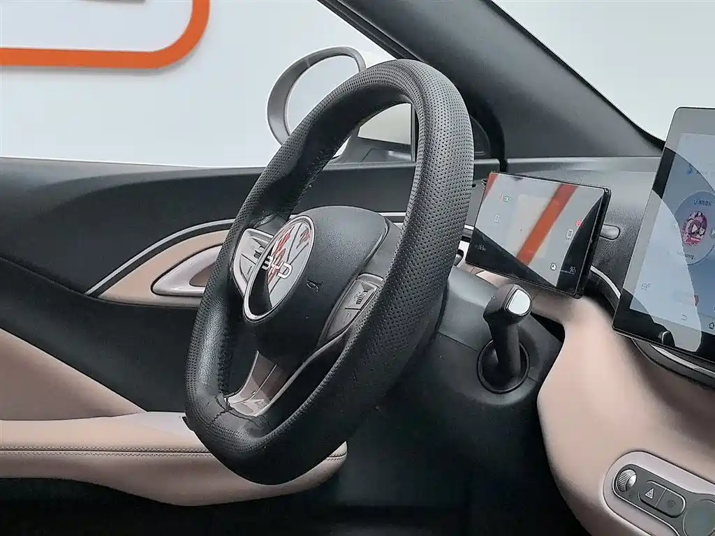 BYD Seagull 2025 Smart Drive Edition 305km Vitality Version фото 22