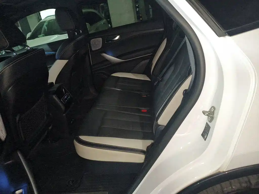 Denza X 2020 2020 PHEV Sport Edition