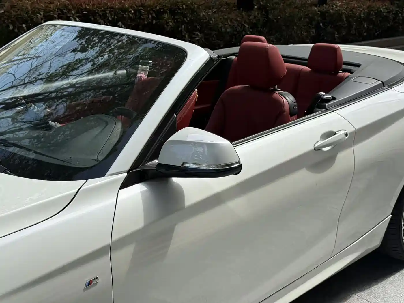 BMW 2 Series (Import) 2019 225i Convertible Coupe Sport Design Package фото 5