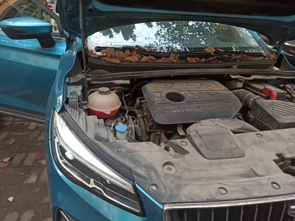 Photo 19 - Geely Emgrand S