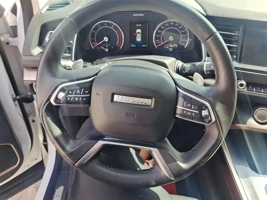 Haval H6 2020 1.5GDIT Automatic Platinum Champion Edition фото 15