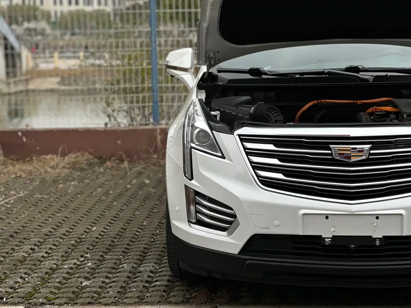 Cadillac XT5 2018 28E AWD Technology Model фото 27