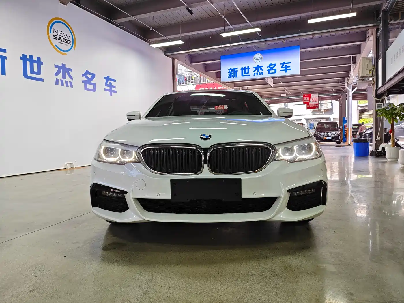 BMW 5 Series 2019 530Li Leading M Sport Package фото 2