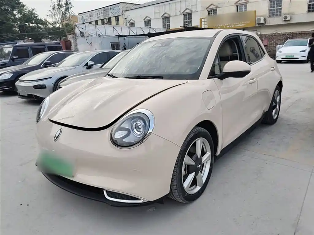 Ora Good Cat 2023 401km Standard Range Honor Edition (LFP)