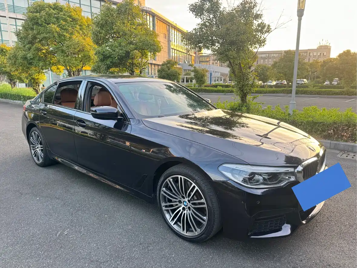 BMW 5 Series 2019 530Li Premium M Sport Package фото 3