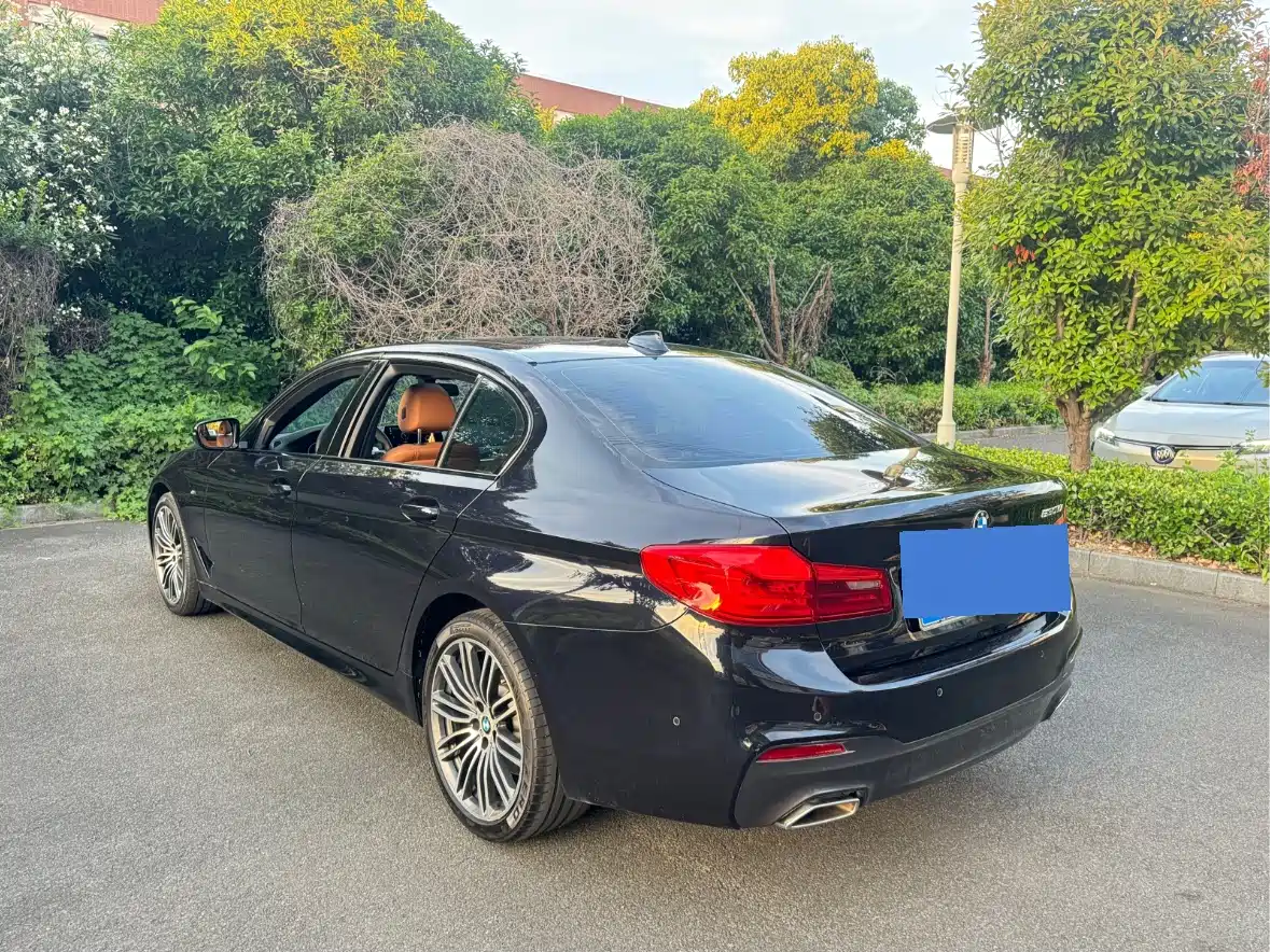 BMW 5 Series 2019 530Li Premium M Sport Package фото 4