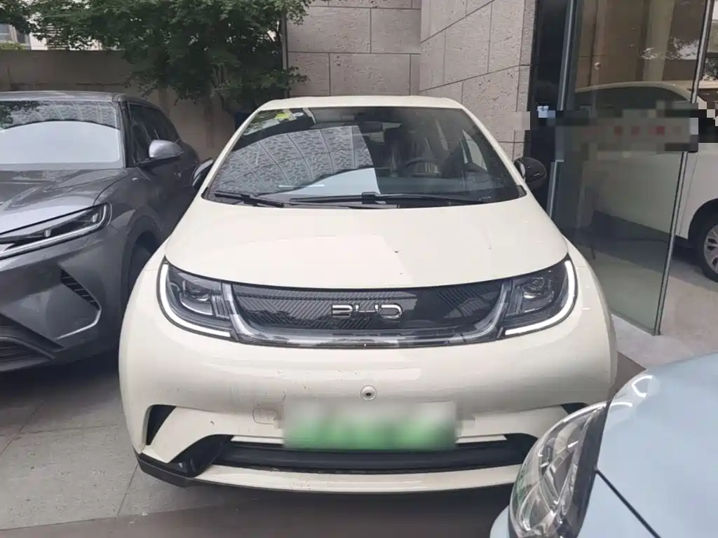 BYD Dolphin 2026 2025 420km Freedom Edition
