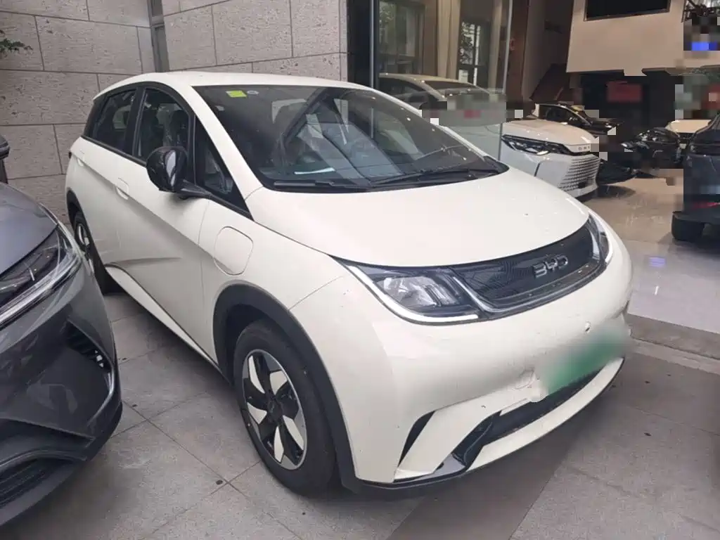 BYD Dolphin 2026 2025 420km Freedom Edition