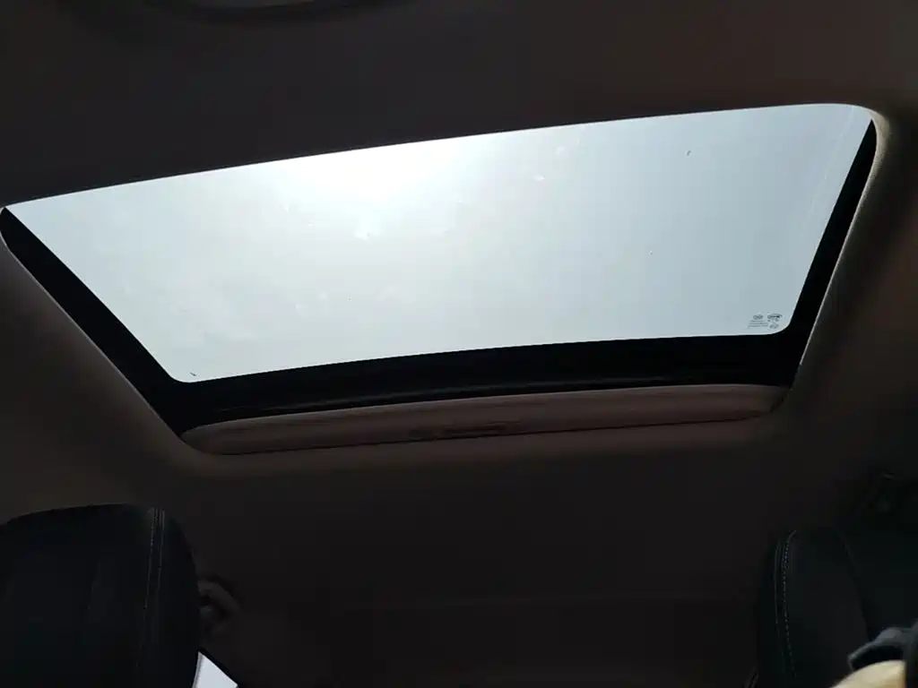 BYD Song MAX New Energy 2019 DM 1.5T Smart Connect Advance 7-seater China VI фото 18