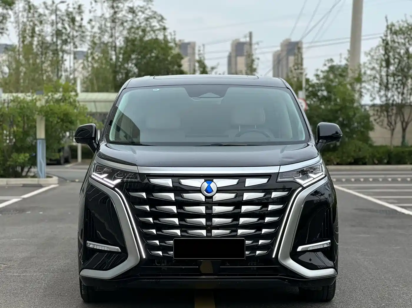 Denza D9 2024 DM-i 980 AWD Flagship фото 3